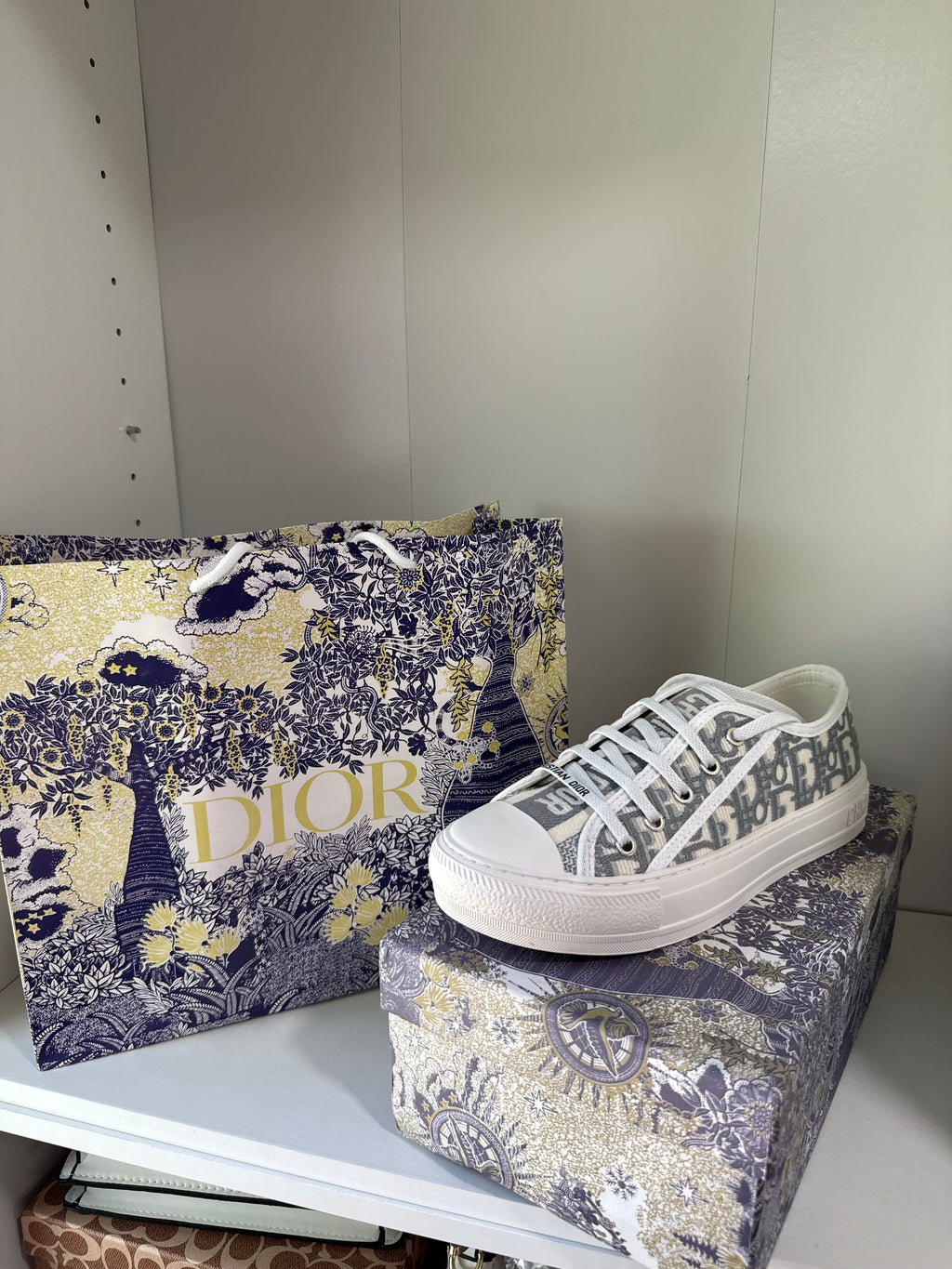 Tenis Dior