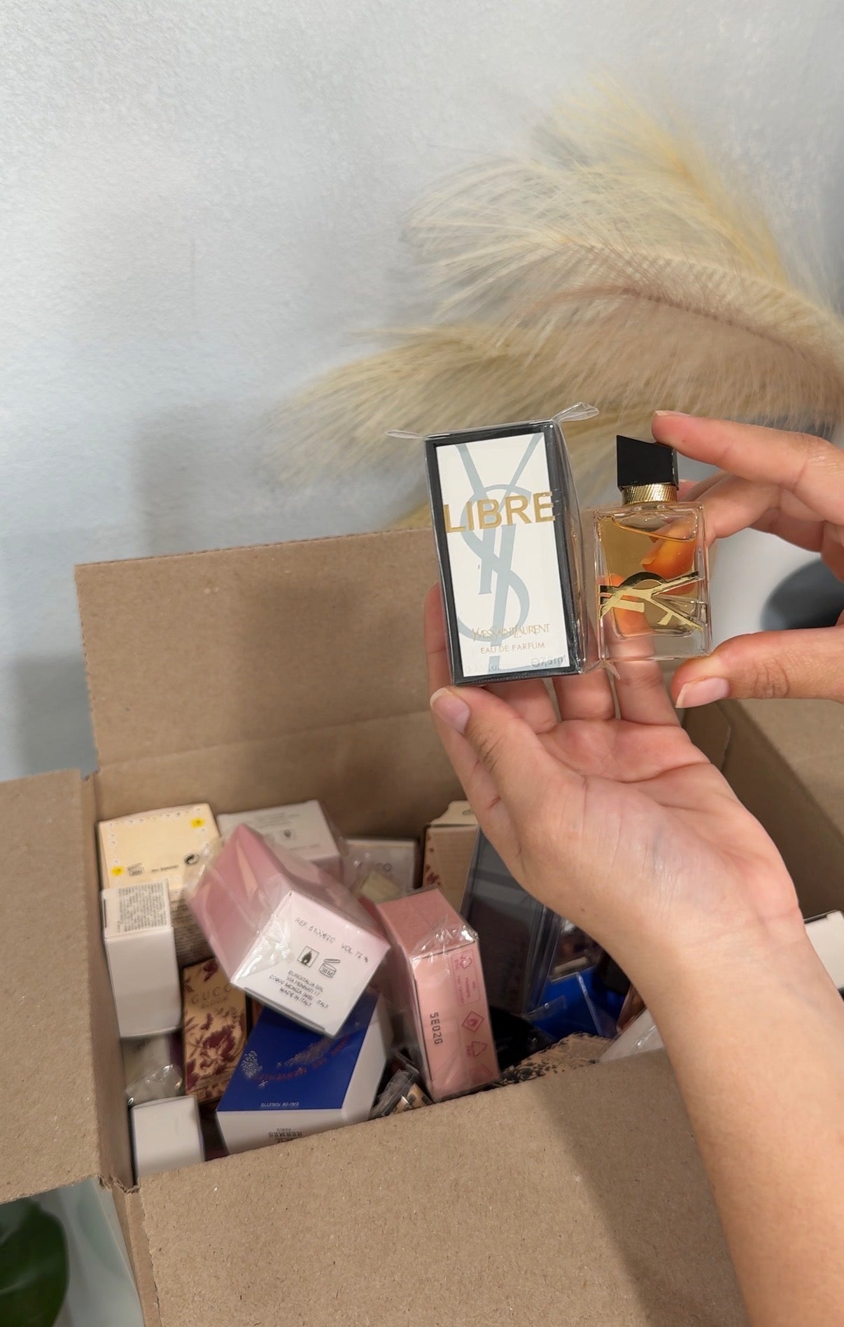 CAJA 50 MINI PERFUMES