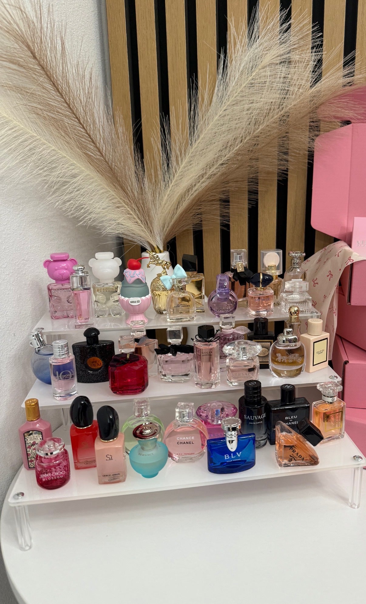 CAJA 50 MINI PERFUMES